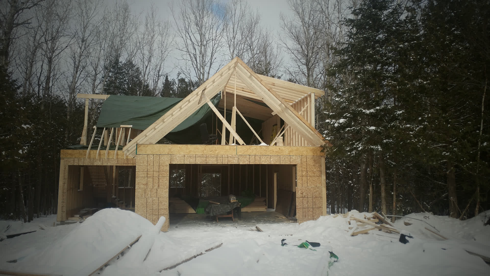 Framed through winter
